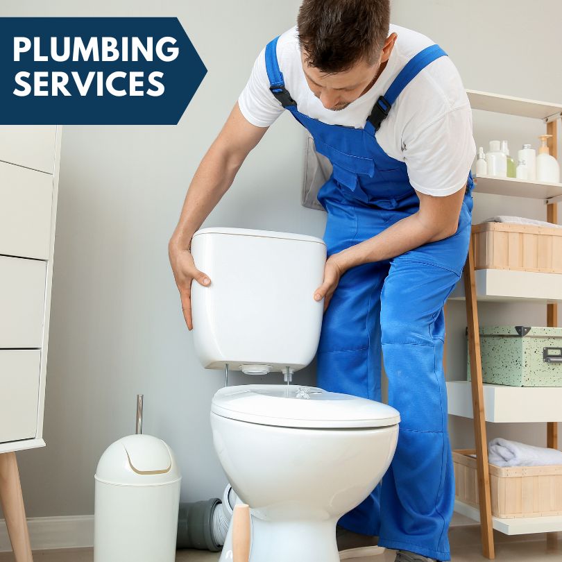 Plumbing Company in Williamsville, MO